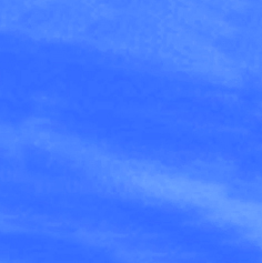 Click the image below to view a detail of the shell color